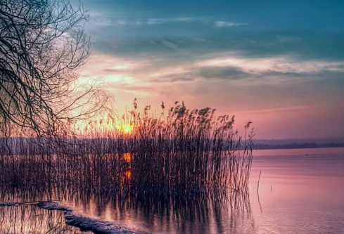 1687185795284590.png image.png