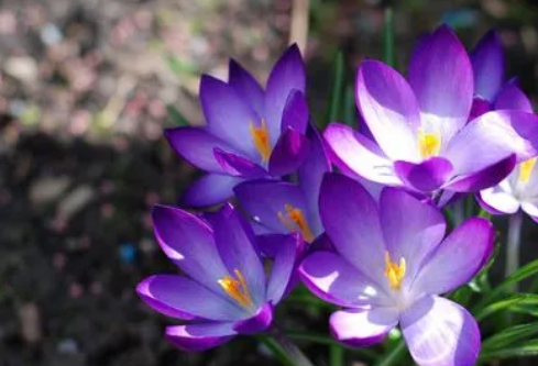 1687187294750561.png image.png