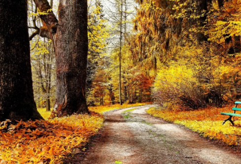 1687188293570192.png image.png