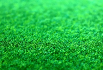 ​佛说舍得的经典句子（关于舍得的精辟名言短）