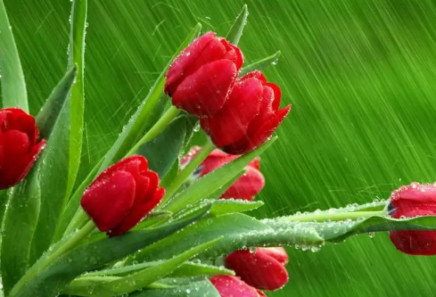 1687188959601365.png image.png