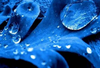 ​读万卷书,行万里路的意思（关于读书的名言赏析）