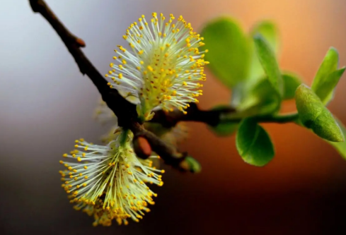 1687189458872361.png image.png