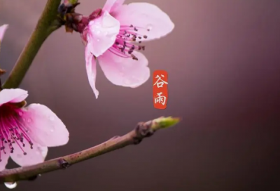 ​关于包容的名言名句或诗句（表达包容的经典诗句）