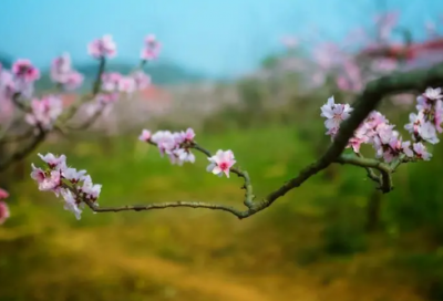 ​有关战争的名言（关于战争与和平的名言）