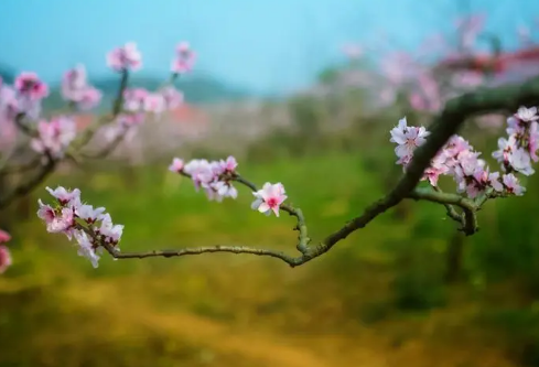 1687190457746209.png image.png