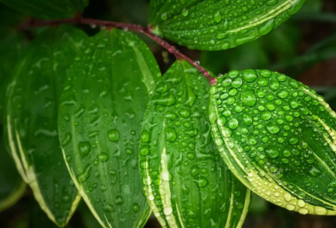 1687190624434871.png image.png