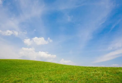 1687190957220165.png image.png