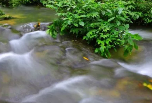 1687191290125065.png image.png