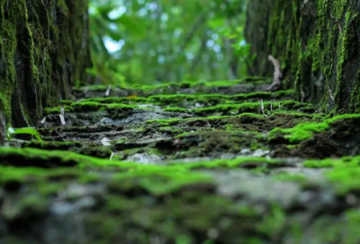 ​关于军人的诗句名言（军人名言短句霸气十足）