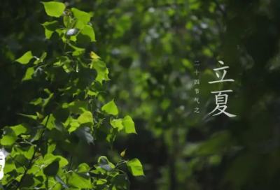 ​节约用水的名言警句（保护水资源的优美语段）