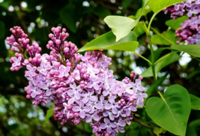 ​关于书法的诗句名言（形容笔墨书香的诗句）