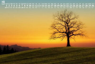 ​表现忧国忧民的诗句有哪些（忧国忧民的经典名言）