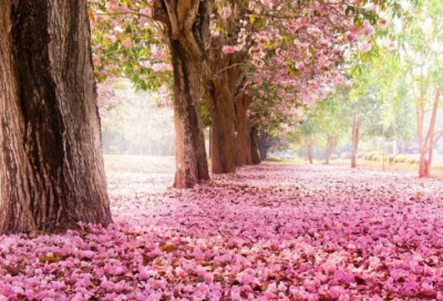 ​关于道德的名言警句（关于道德品行的古诗句）