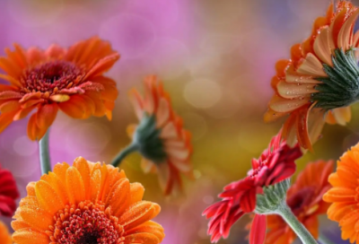 ​励志名言警句摘抄大全（名言名句优美句子）