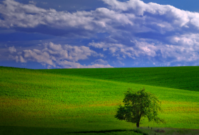 ​关于诚信的名言警句（讲诚信的句子经典语录）