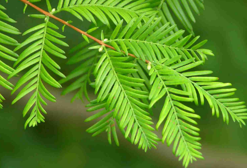 1687199784106693.png image.png