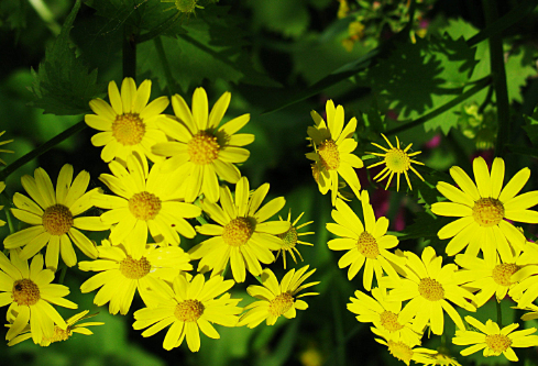 1687200117765887.png image.png