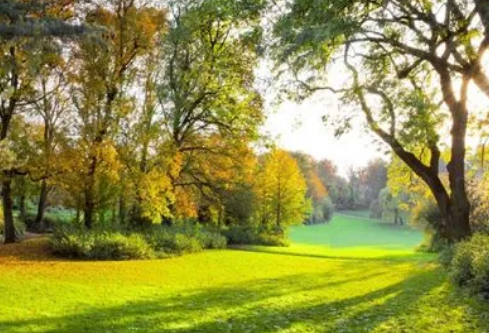 1687200451878368.png image.png