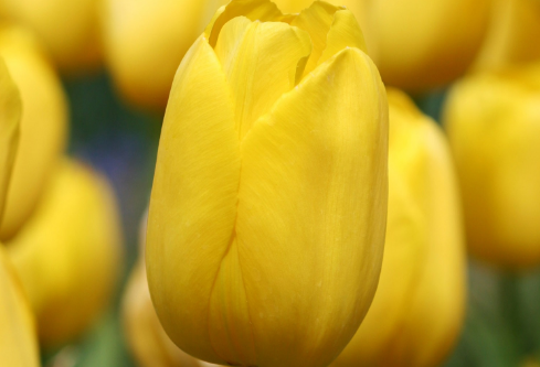 1687200950786221.png image.png