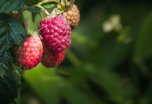 1687202449243833.png image.png