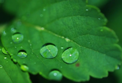 ​关于志向的名言警句（关于远大志向的名人名言）