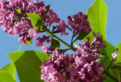 ​警句名言有哪些（人生哲学经典名言名句）