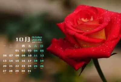 ​诸葛亮的简介资料（诸葛亮名言名句大全）