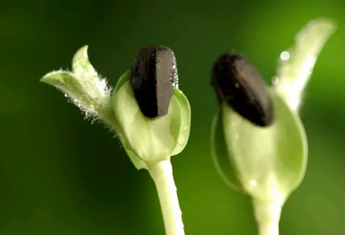 1687205613916455.png image.png