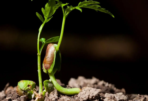 1687206780439764.png image.png