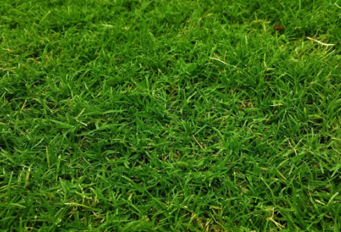 1687209110928364.png image.png