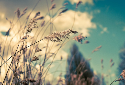 1687626264455895.png image.png