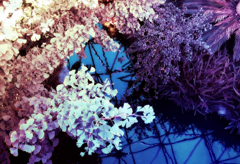 1687634412506990.png image.png