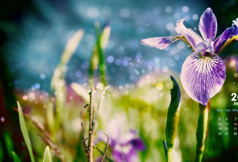 1687634579521902.png image.png