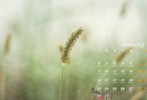 1687634910951922.png image.png