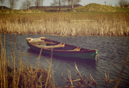 1687636898472106.png image.png