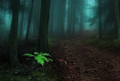 ​公务员面试名言警句