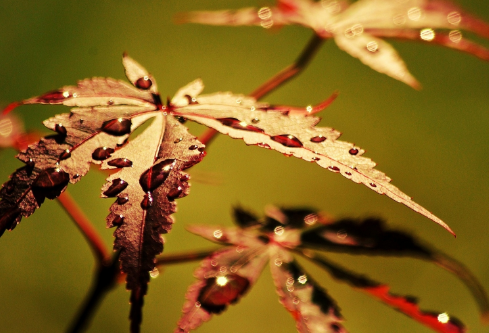 1687637727456372.png image.png