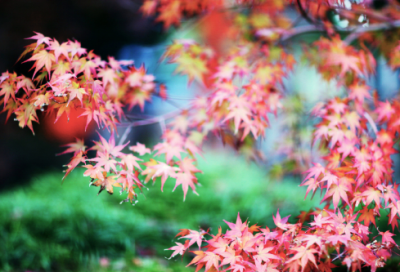 ​关于亲情心记父母恩的名人名言