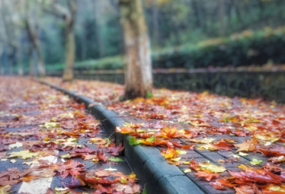 ​关于变通名人名言大全