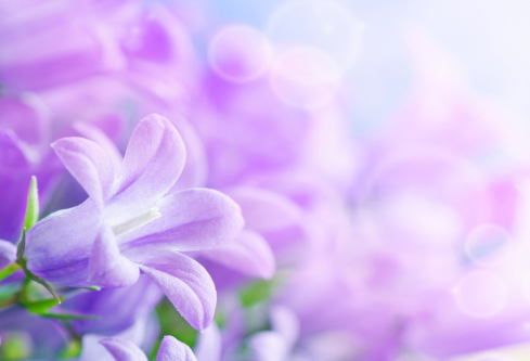 1687640876679264.png image.png