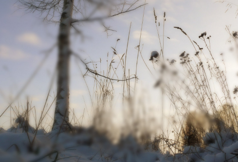 1687642202392819.png image.png