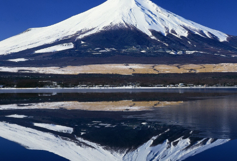 1687642865469436.png image.png