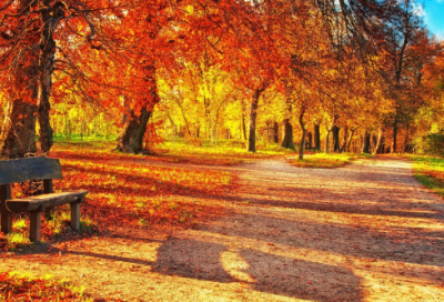 ​交友的名言名句