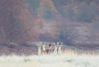 ​关于珍惜时间的名言