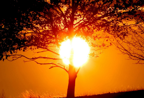 1687647505361049.png image.png