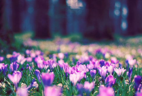 1687651814561175.png image.png