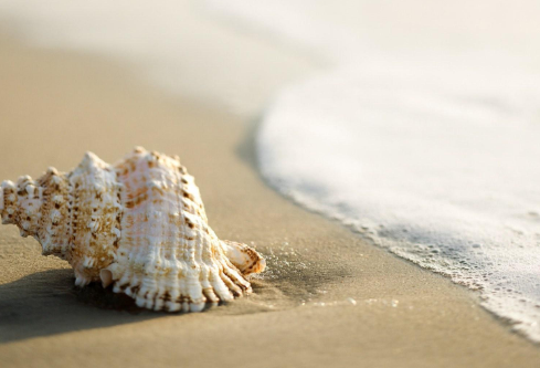 1687652310845364.png image.png