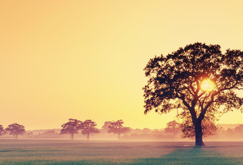 1687654298589476.png image.png