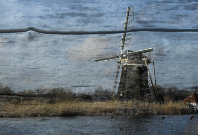 ​关于成长的格言